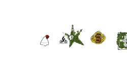In-game icons
