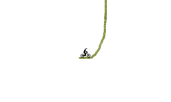 Green Arrow Auto 2