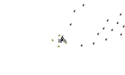 Gravity Auto