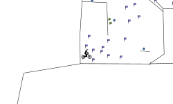 speed run