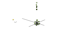 5 Line 2.20 Aut0