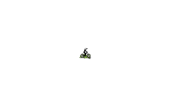 drop