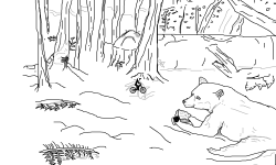 Beginners Accuracy Contest