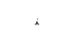 SPEED
