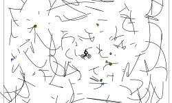 scribbles