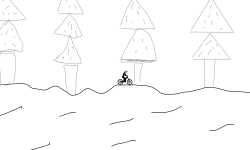Forest Roads