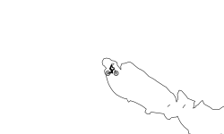 Fissure