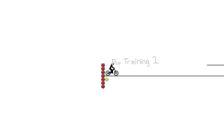 Pro Training 1
