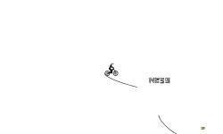 NESS
