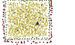 Worst 1000 stars ever.