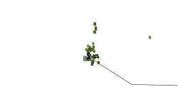 lifegoalnocheckpoints