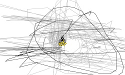 scribble