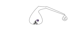 the obvious track