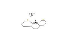 the hive