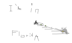 I'am in florida
