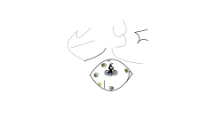 THE EYE