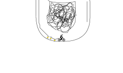 fun circle