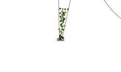 the sling shot