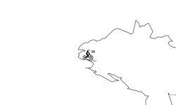 Run for the cube