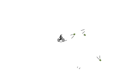 Scrapped