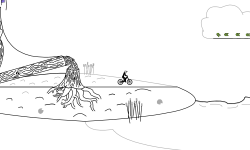 Wild Walk