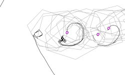 360 spin
