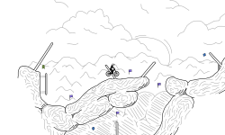 Unplausible Stone Formations
