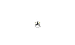 Smallest Halfpipe