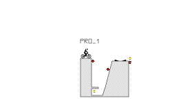 PRO_1