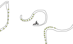 worms