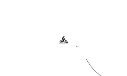CRAZY TRACK