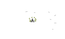downhill spin 3