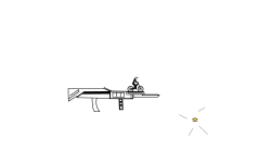 Gun