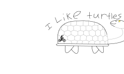 I like turtles :)