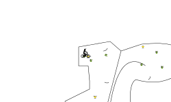 Near Miss the Auto.