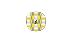 Star circle