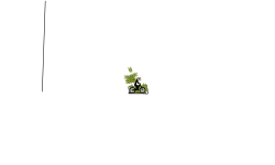 Flappy Birds