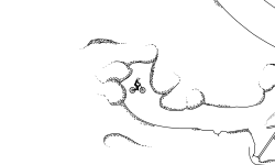 canyon (EXPANDED)