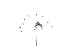 homie g gravity!