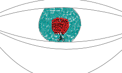 EYE ZOOM OUT