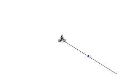 The stunty world1