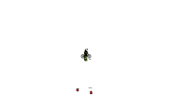 Bomb run auto