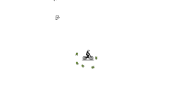 Preview? Scribble Auto (Desc.)