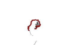 half auto