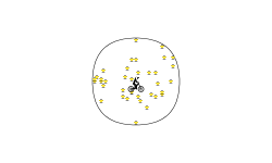 the lol circle