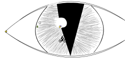 Dragon Eye