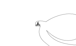 Cave Loops FULL TRACK