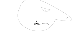 The Person