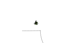 Dont top my score