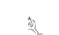 Swirly Hills (Prev.)